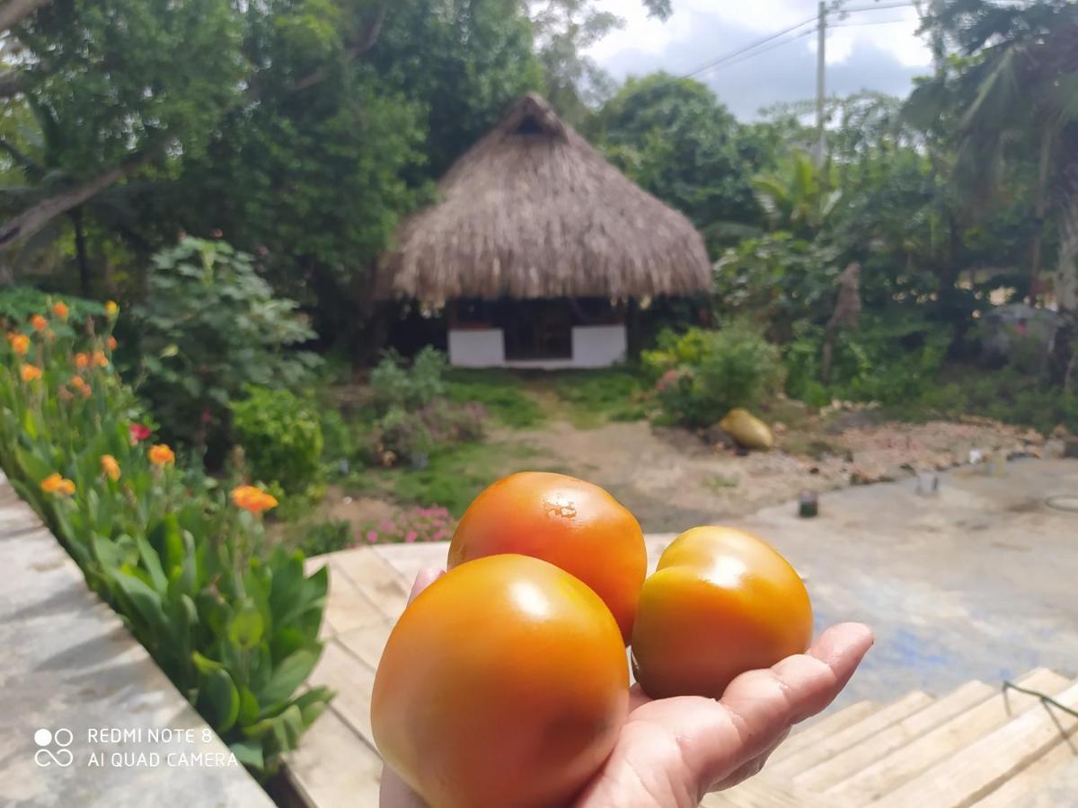 Los Versos De Zaira San Onofre ภายนอก รูปภาพ