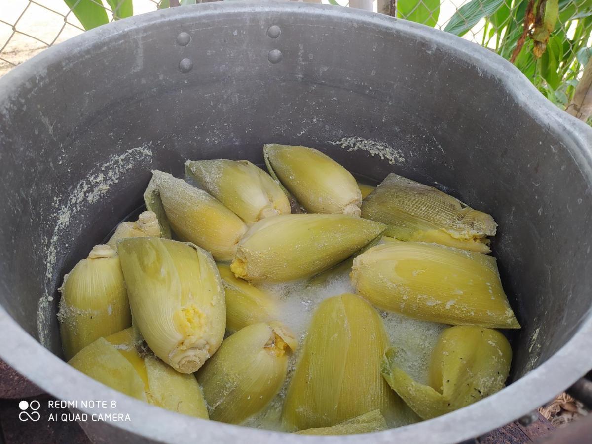 Los Versos De Zaira San Onofre ภายนอก รูปภาพ